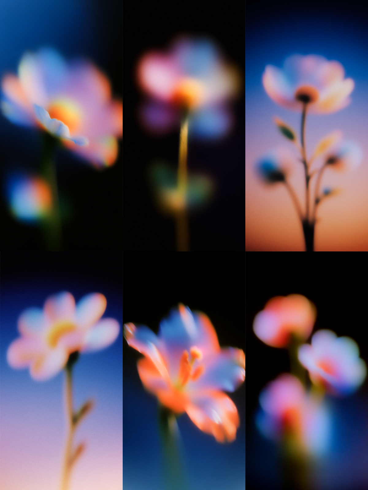 Flower_studies