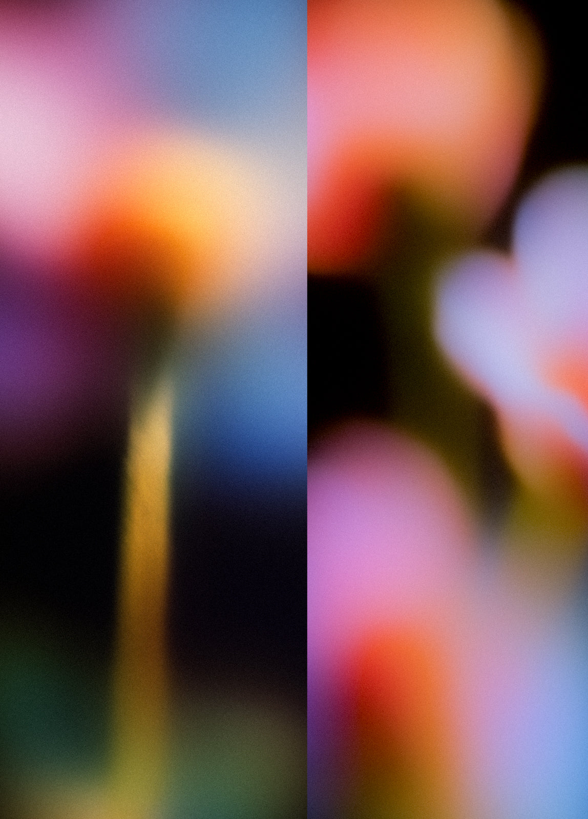 Flower_studies